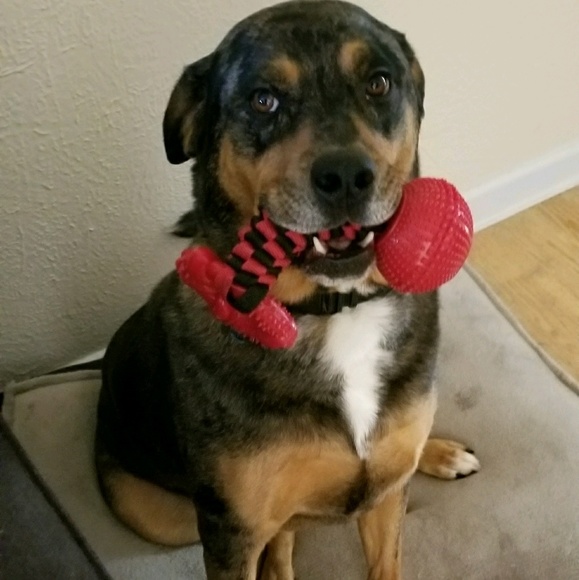 Just buying - Picture 1 of 1